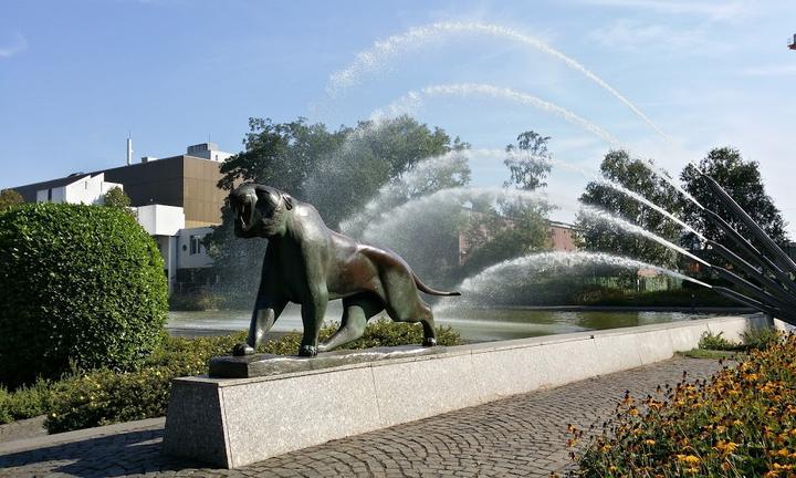 Wassergarten