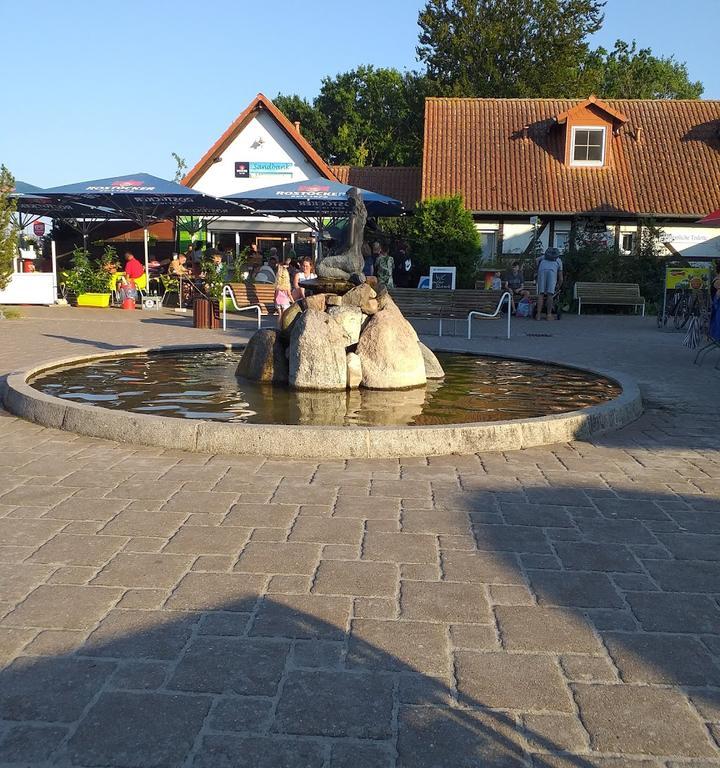 Stranddistel Kolpinsee